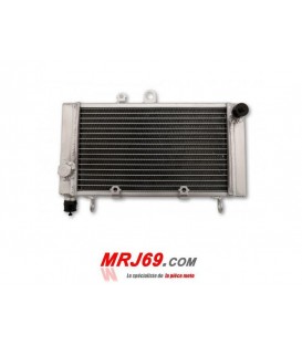 HONDA CBF CB F 500 2004-2007 RADIATEUR-NEUF