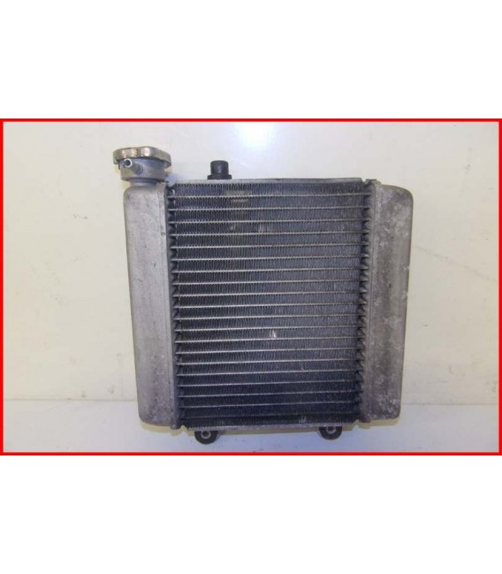 HONDA FES 125 2003-2006 RADIATEUR "22200 kms"-OCCASION