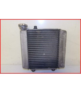 HONDA FES 125 PANTHEON 2003-2006 RADIATEUR "22200 kms"-OCCASION