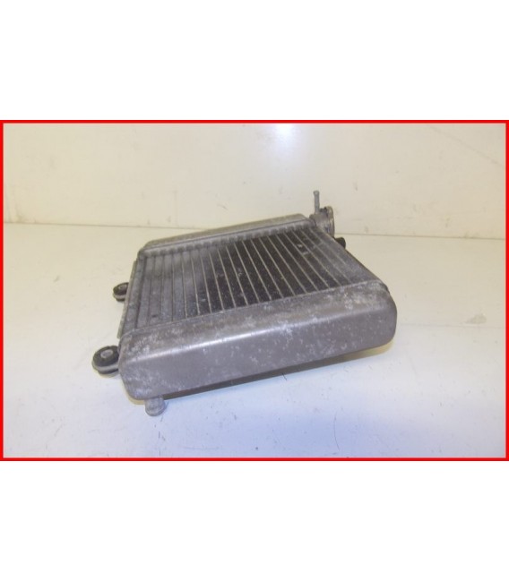 HONDA FES 125 2003-2006 RADIATEUR "22200 kms"-OCCASION