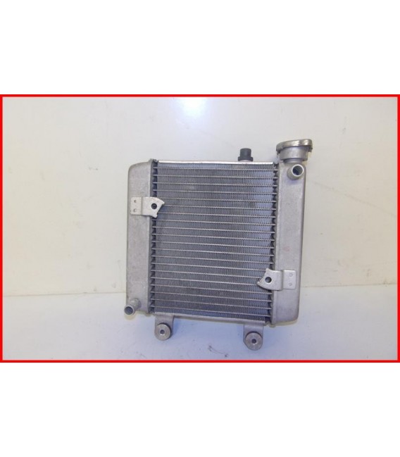 HONDA FES 125 2003-2006 RADIATEUR "22200 kms"-OCCASION