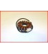 KAWASAKI ER5 500 1996-2005 STATOR ALTERNATEUR 21003-1123 - NEUF