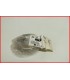 KAWASAKI ZRX 1100 1997-2000 SUPPORT FILTRE A HUILE 13169-1313 -NEUF