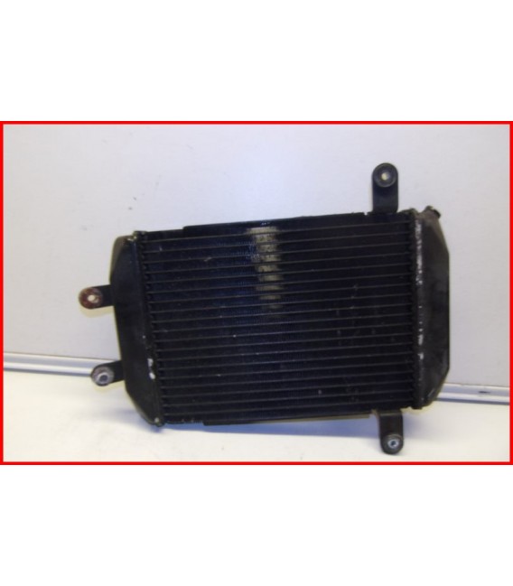 SUZUKI BURGMAN 400 1999-2002 RADIATEUR- OCCASION