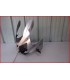 KAWASAKI ZX6R ZX6 R 600 2000-2001 CARENAGE AVANT TETE DE FOURCHE "griffures" - OCCASION