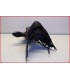 HONDA CBR 500 2013-2014 BAVETTE ARRIERE SUPPORT DE PLAQUE - OCCASION