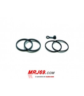 YAMAHA yzf 1000 thunderace 1996 1997 1998 1999 2000 2001 KIT REPARATION ETRIER FREIN ARRIERE -NEUF YAMAHA yzf 1000 thunderace 1996 1997 1998 1999 2000 2001 KIT REPARATION ETRIER FREIN ARRIERE -NEUF