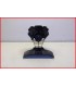 YAMAHA YZF 600 R6 2006-2007 VEILLEUSE DE PHARE AVANT-OCCASION