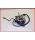 HONDA CA 125 REBEL 1995-2000 STATOR ALLUMAGE ALTERNATEUR - OCCASION