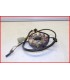 HONDA CA 125 REBEL 1995-2000 STATOR ALLUMAGE ALTERNATEUR - OCCASION
