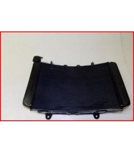 KTM 890 DUKE 2021-2024 RADIATEUR "rayures " - OCCASION