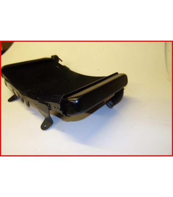 KTM 890 DUKE 2021-2024 RADIATEUR "rayures " - OCCASION