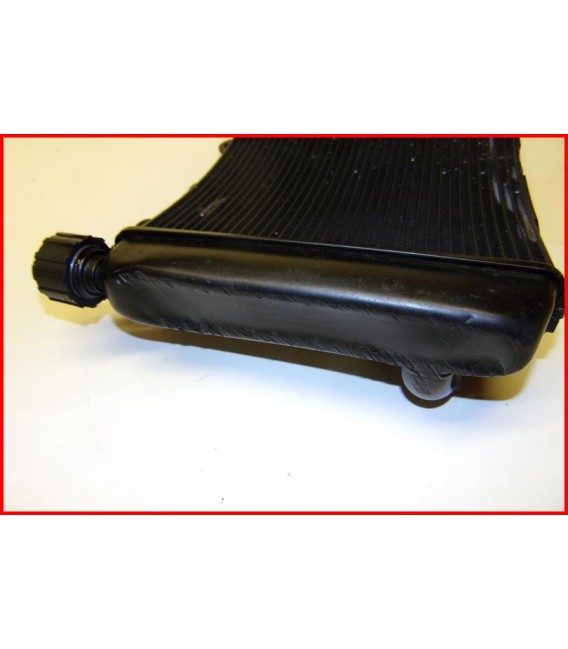 KTM 890 DUKE 2021-2024 RADIATEUR "rayures " - OCCASION