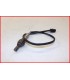 HONDA HORNET 600 2011-2014 SONDE LAMBDA- OCCASION