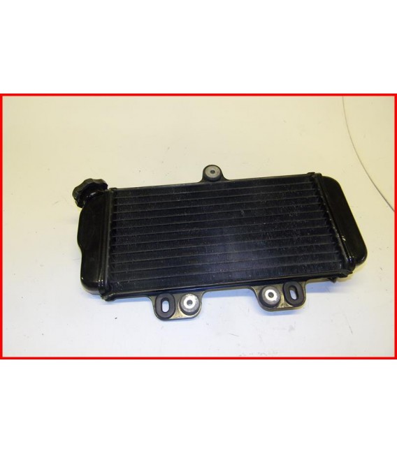 YAMAHA TDR 125 1997-2002 RADIATEUR- OCCASION
