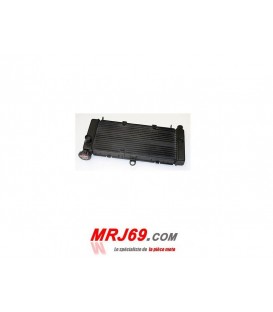 HONDA HORNET 600 1998-2002 RADIATEUR-NEUF 